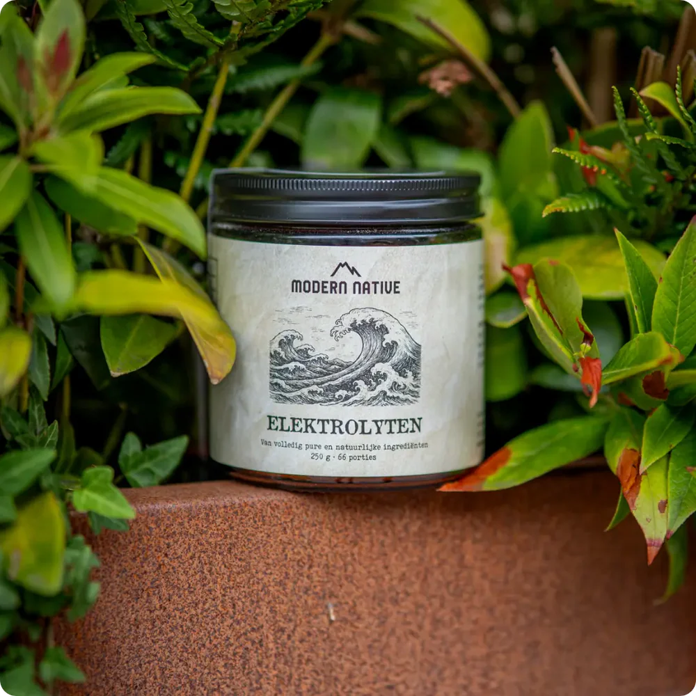 Modern Native - Elektrolyten