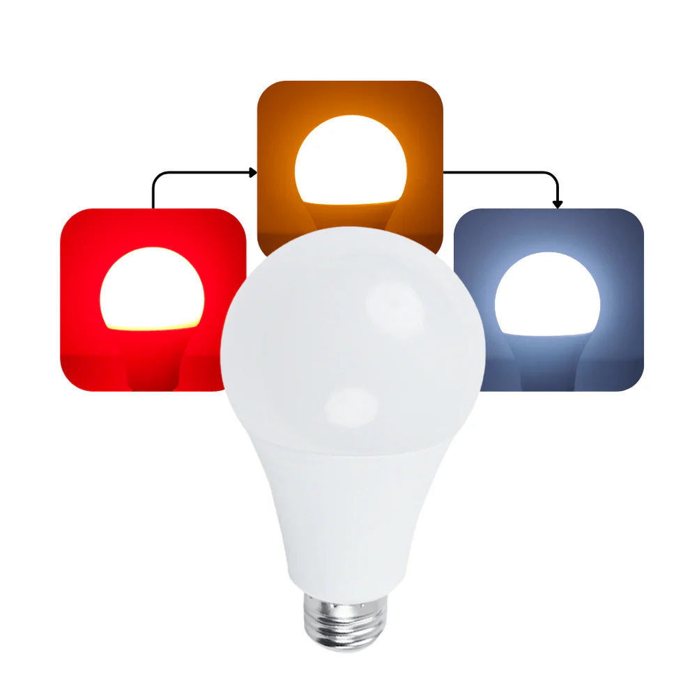 Alina - 3 kleuren licht lamp