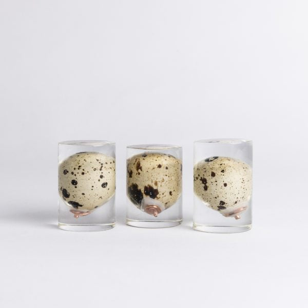 Blue Earth - Torteleitje