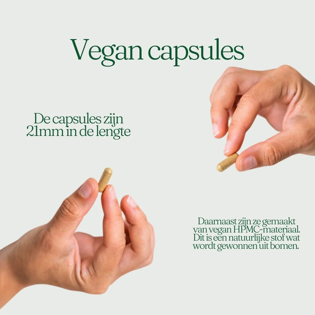 QualiGreen Lion's Mane