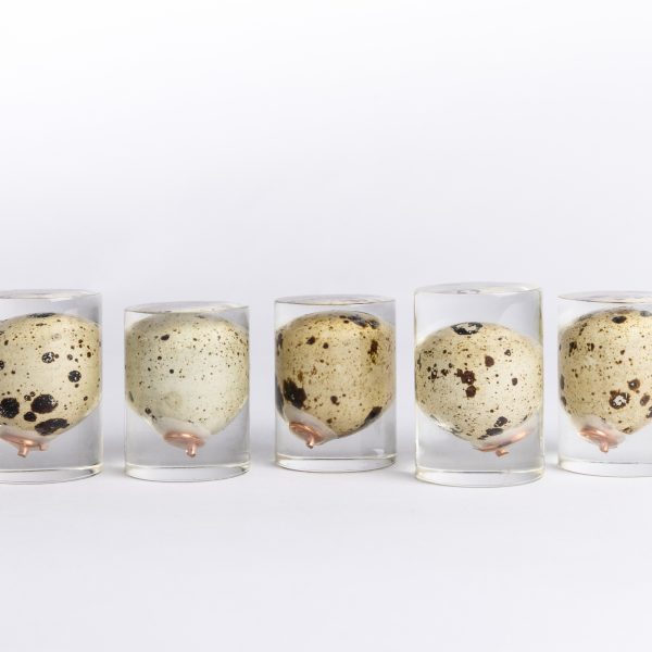 Blue Earth - Torteleitje