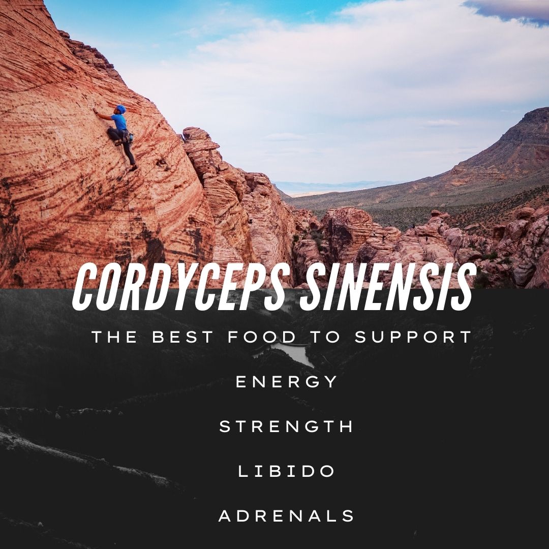 Cultivate Elevate - Organic Cordyceps Sinensis Extract