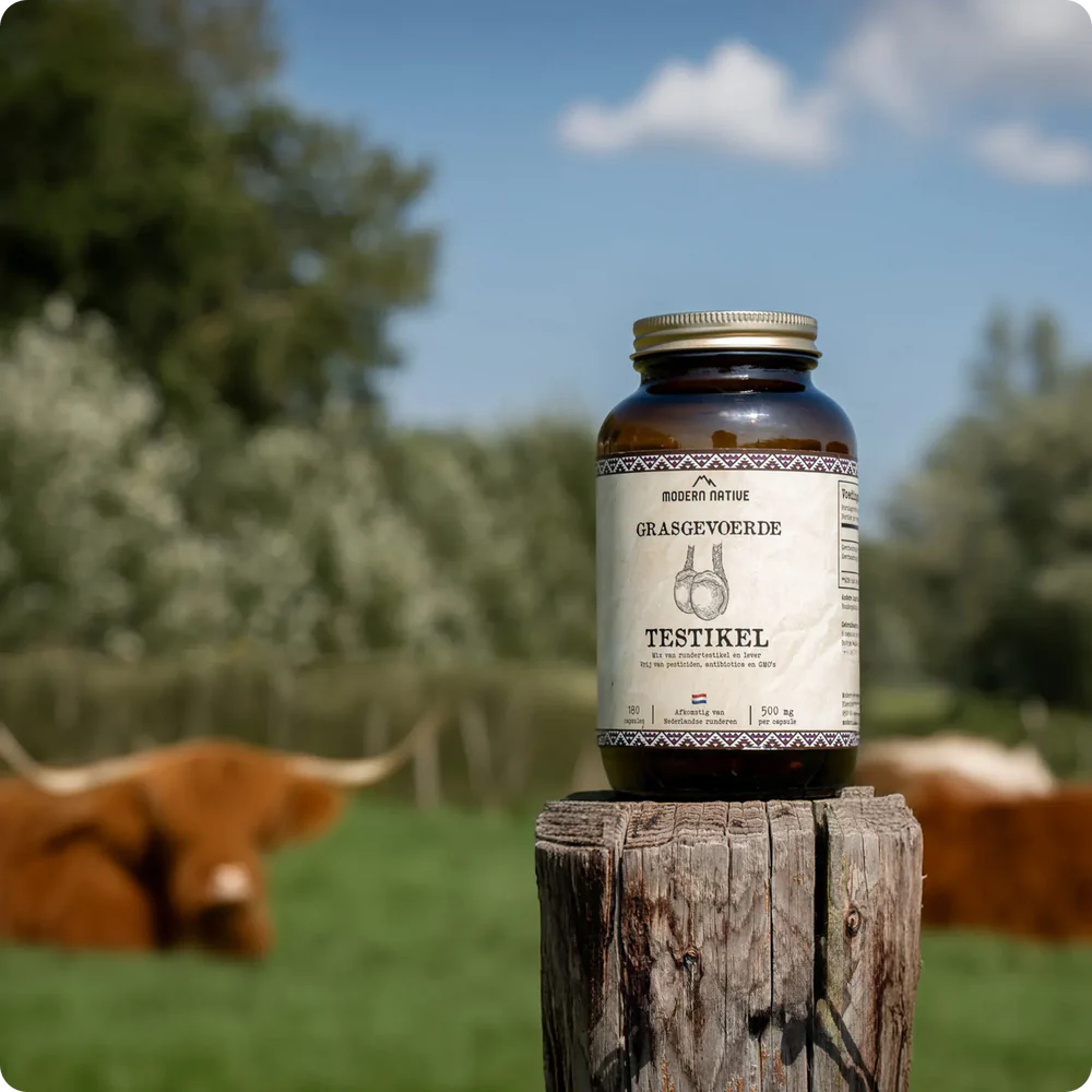 Modern Native - Testikel