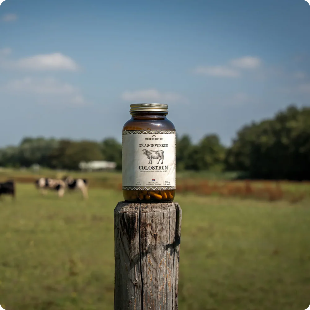 Modern Native - Colostrum