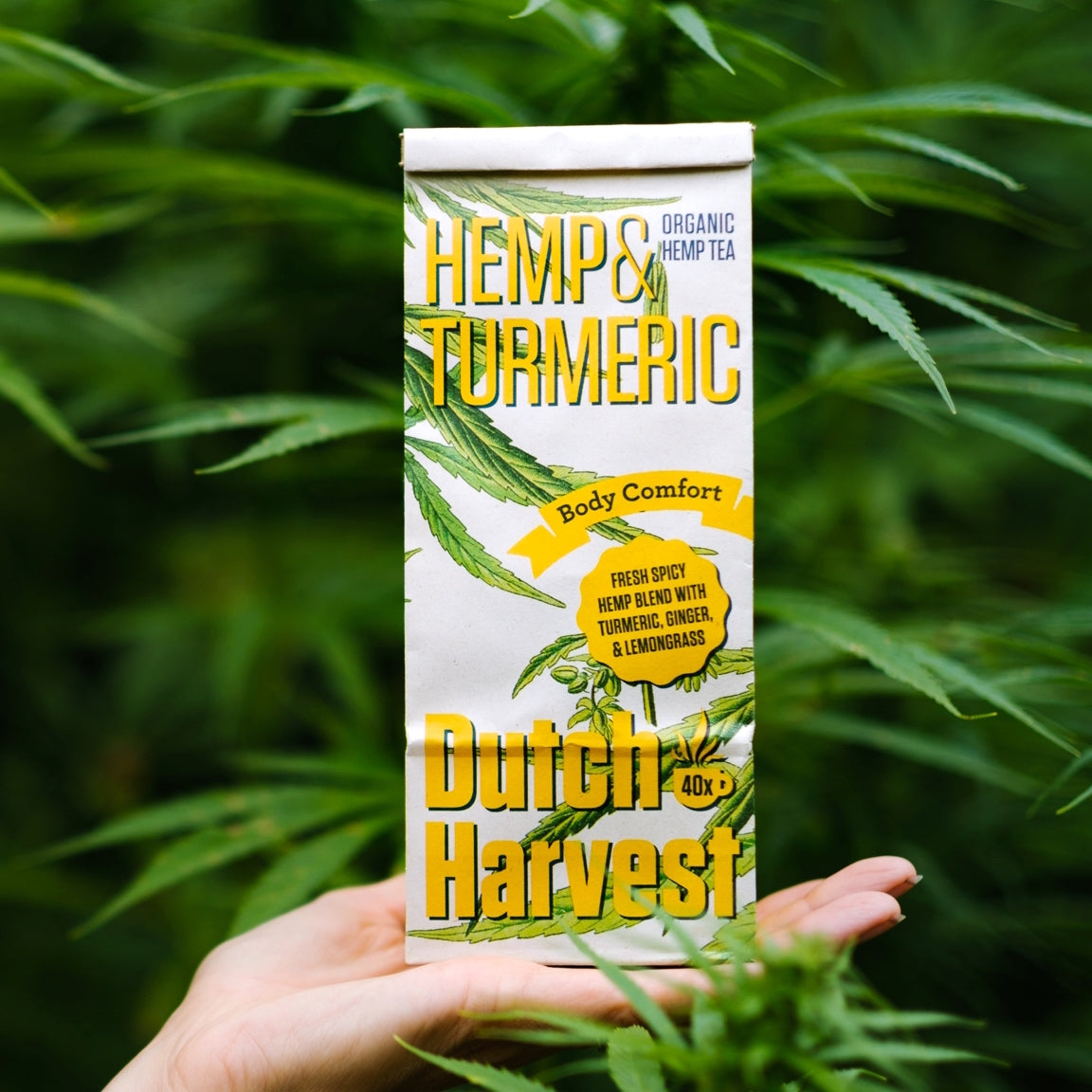 Biologische Hennepthee | Hemp & Turmeric