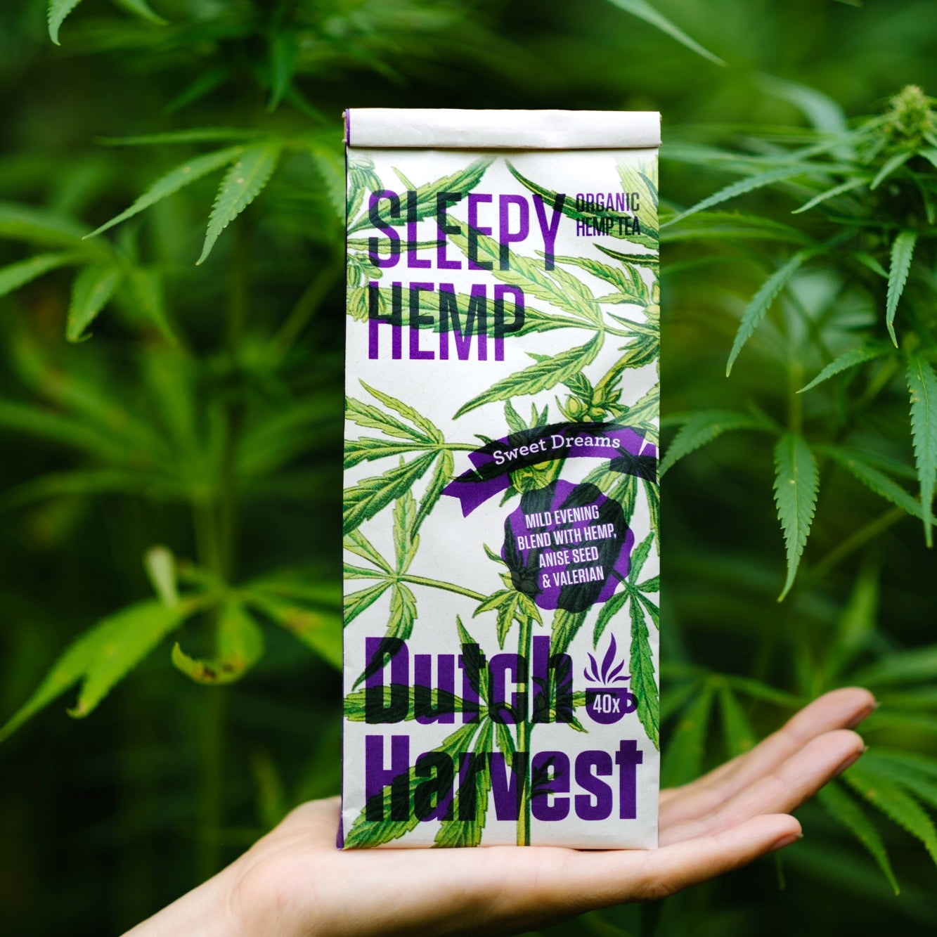 Biologische Hennepthee | Sleepy Hemp