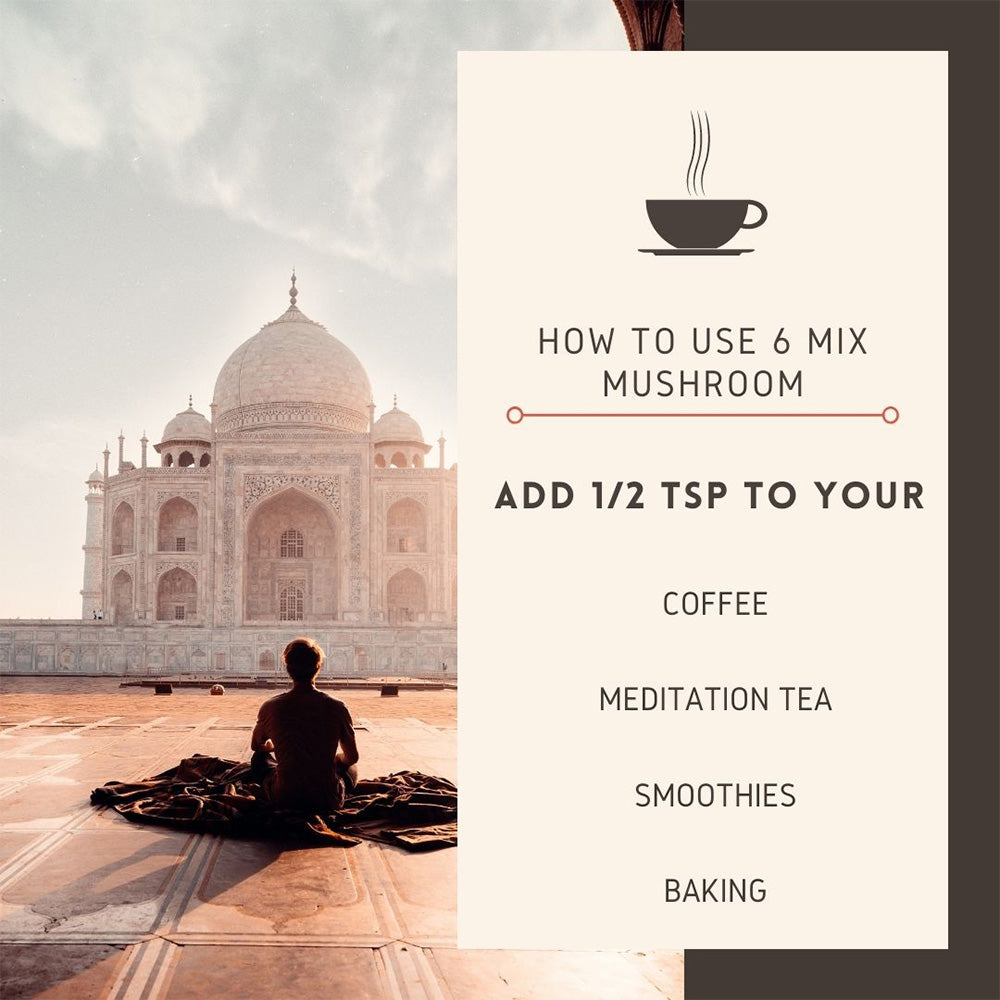 Cultivate Elevate - Organic 6mix Mushroom Extract