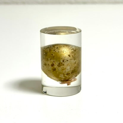 Blue Earth - Turtle Egg