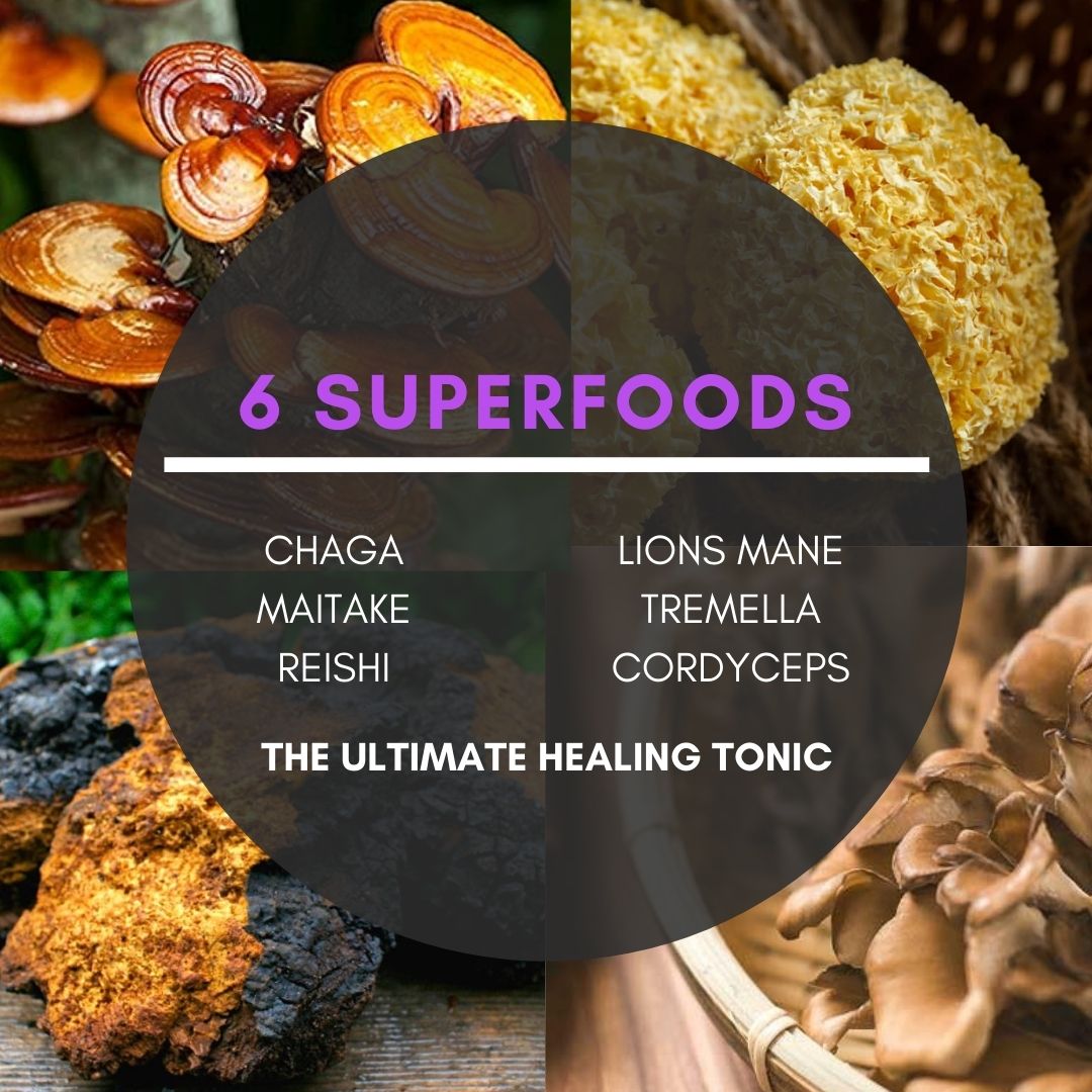 Cultivate Elevate - Organic 6mix Mushroom Extract