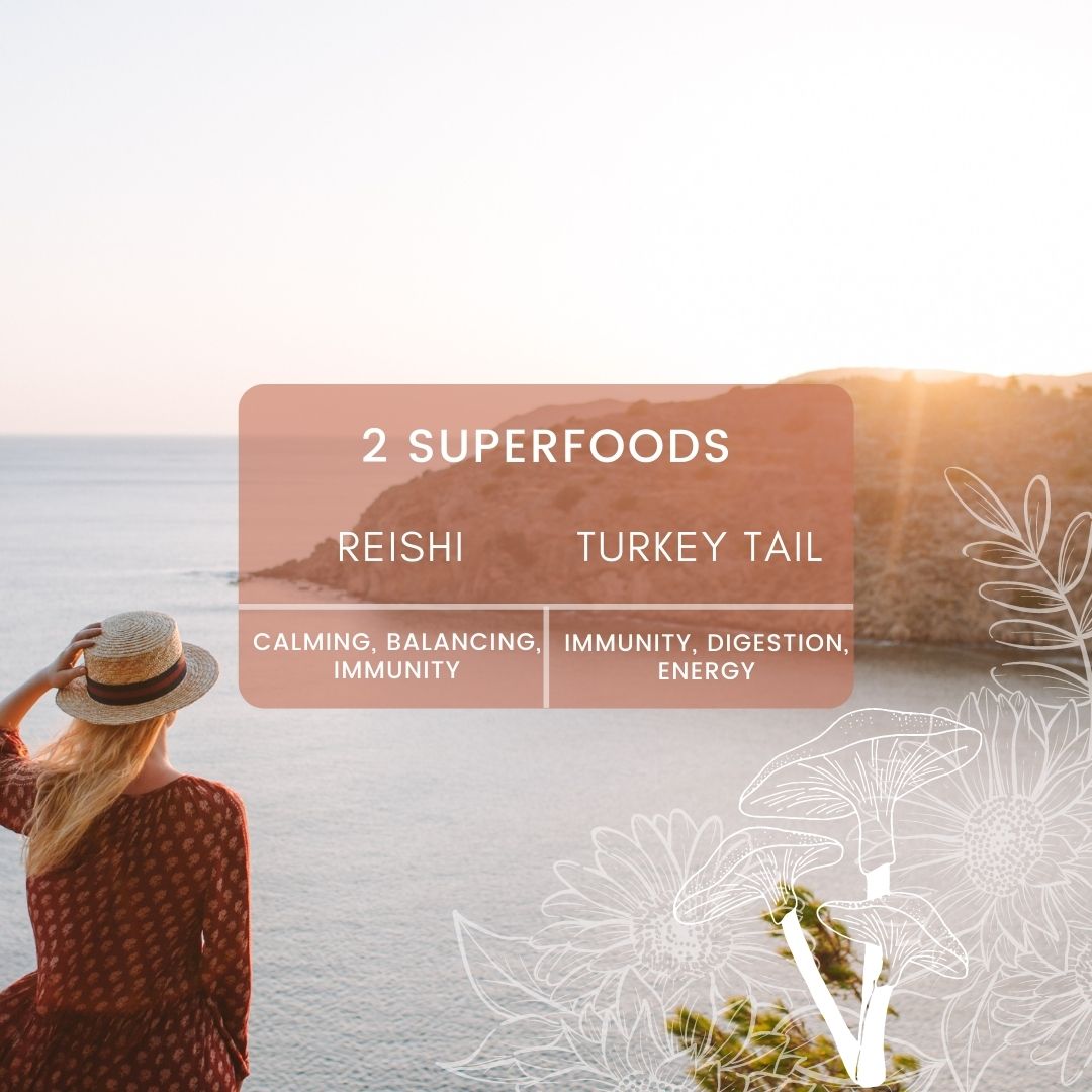 Cultivate Elevate - Organic Reishi Turkey Tail Mushroom Capsules