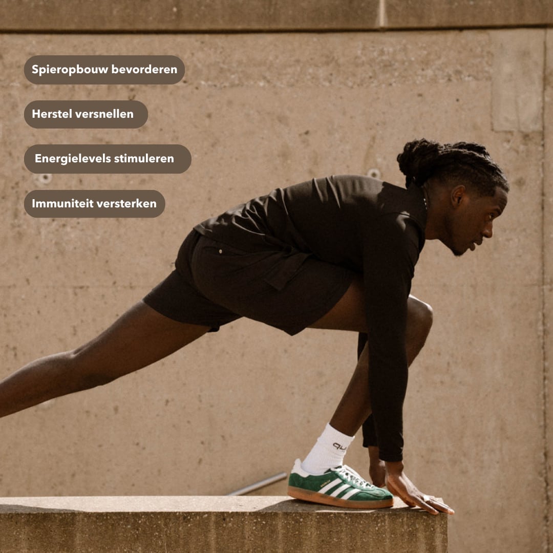 Elvou - Ultimate Amino