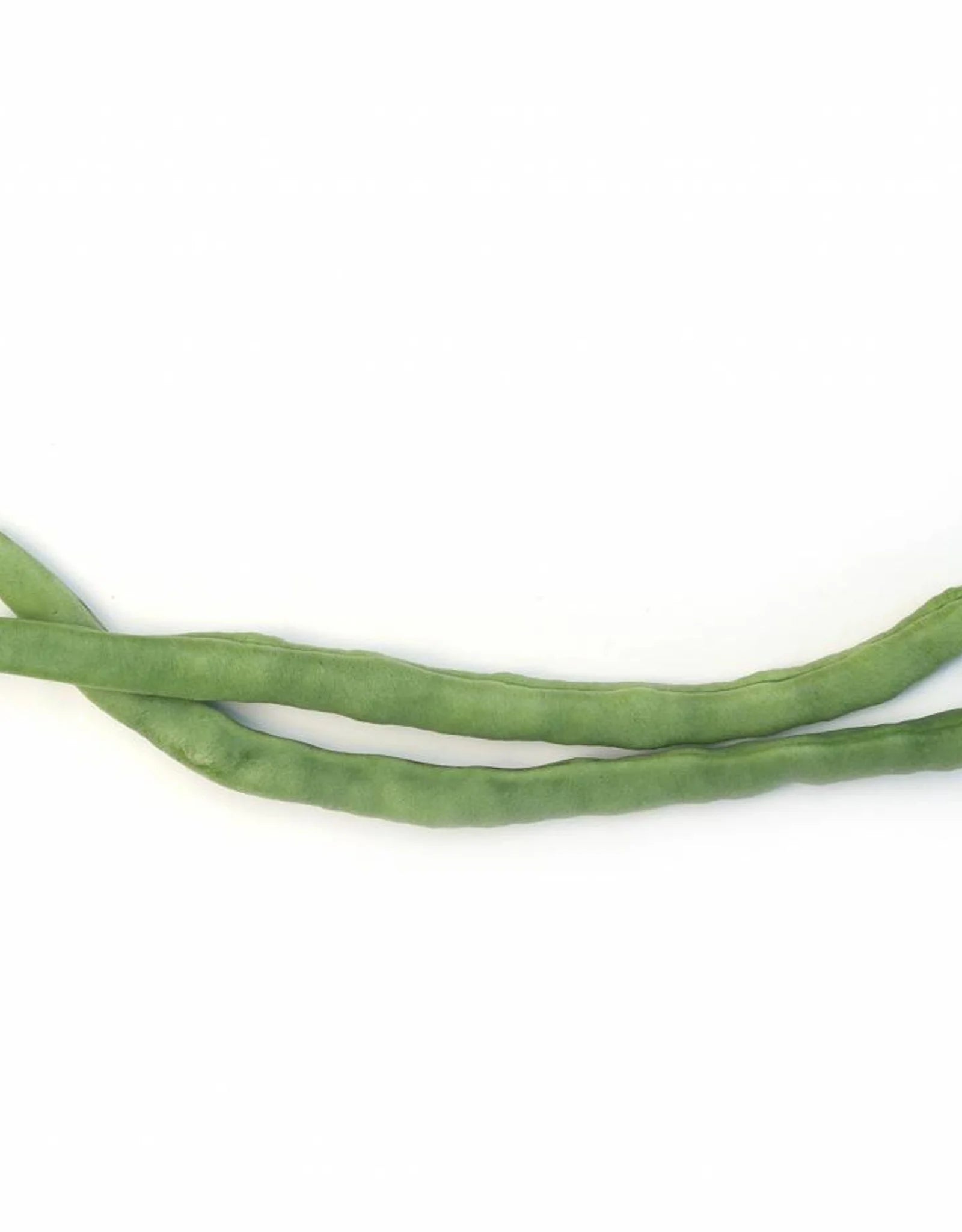 De Zaderij - Biologische Snijboon Markant - ca 75 zaden