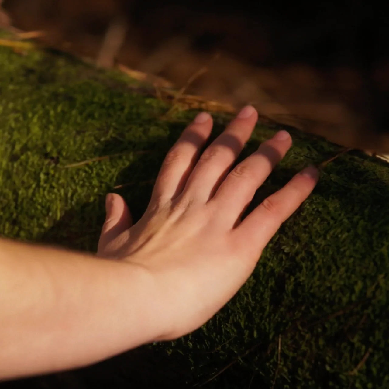 Sacred Taste - Earth Original Cacao