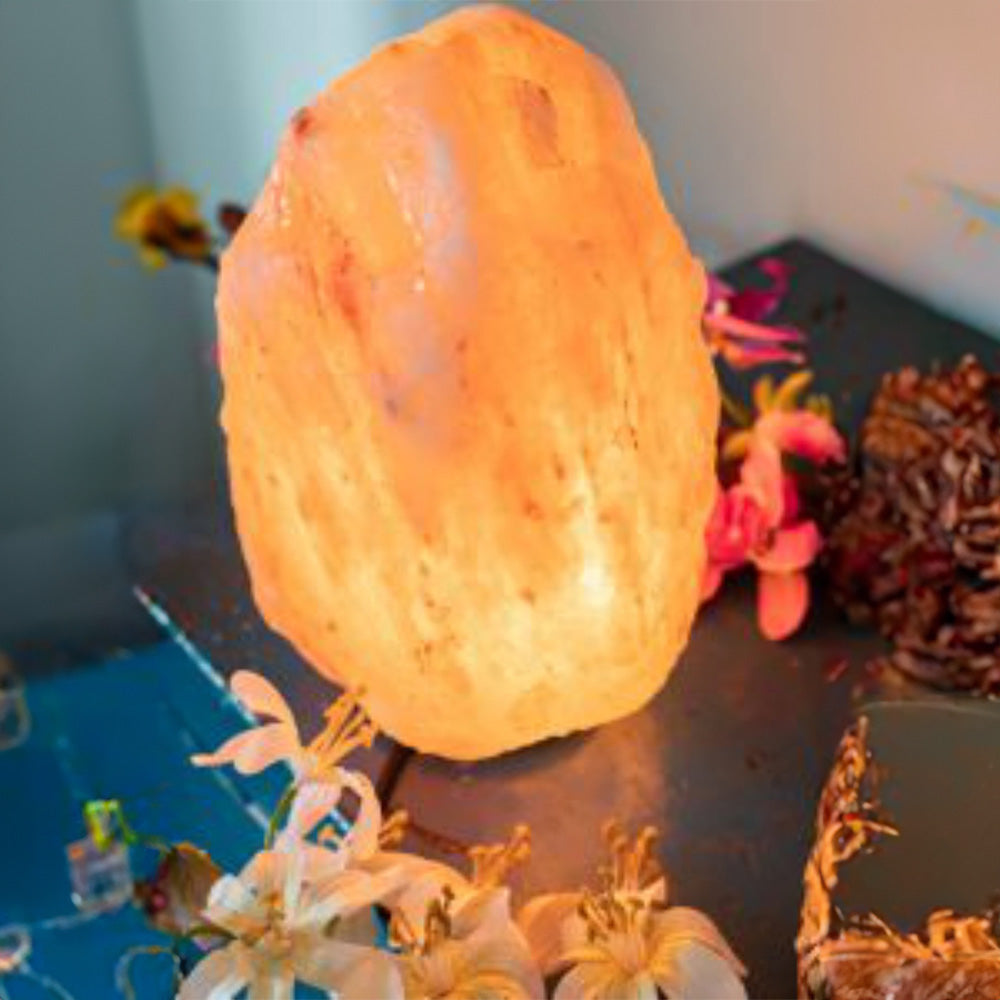 Himalaya Zoutlamp Roze (4-6 kg)